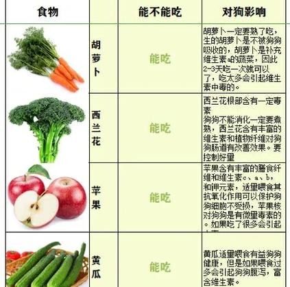 狗上火了吃什么降火最快