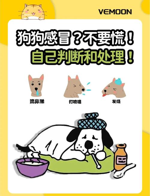 狗狗感冒了是个什么样子的症状?