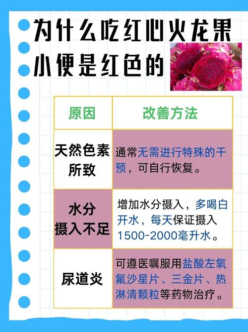 狗狗吃红心火龙果尿血怎么回事