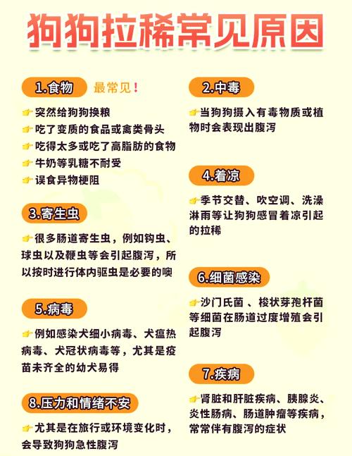 狗狗拉肚子需要禁食多久