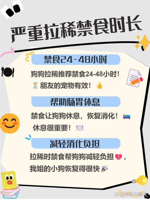 比熊拉肚子拉稀怎么办