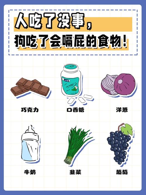 人吃了没事,狗吃了会嗝屁的食物!