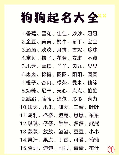 女狗狗名字大全