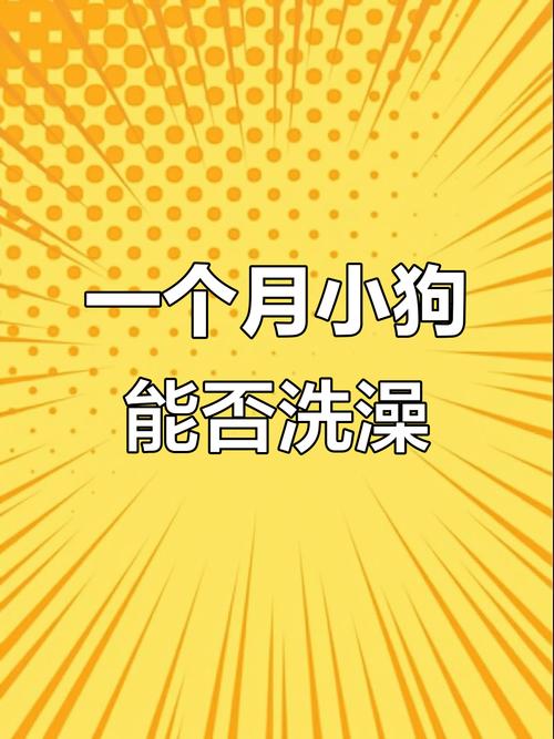 一个月的狗能够洗澡吗?