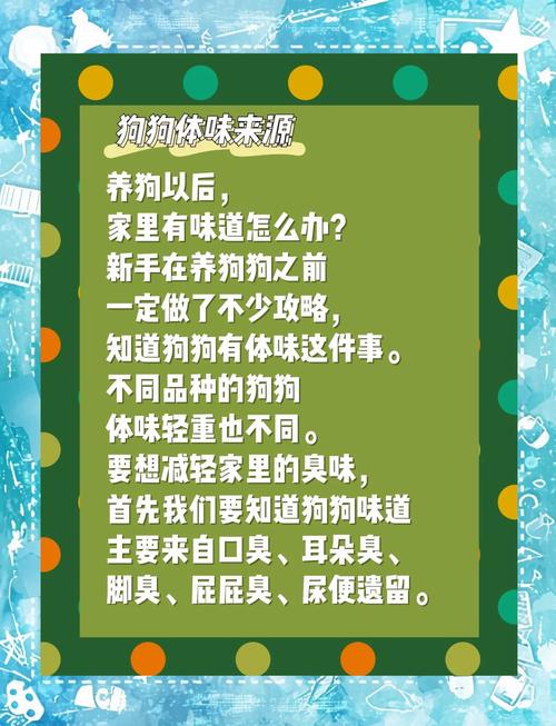 狗狗洗澡的最佳时间