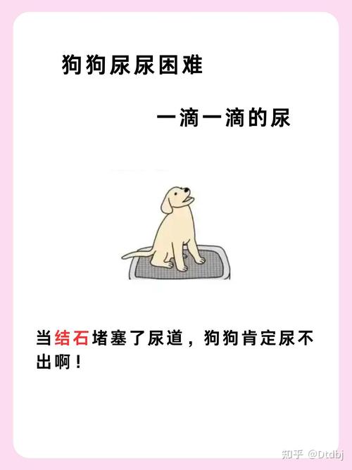 狗尿不出来尿每次几滴