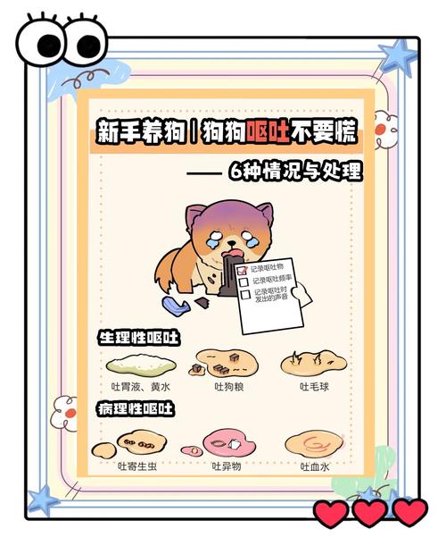 狗狗上吐下泻是怎么回事?