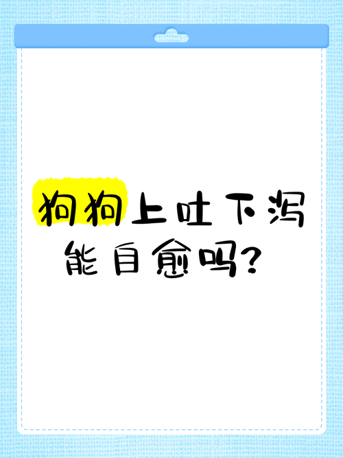 狗狗上吐下泻