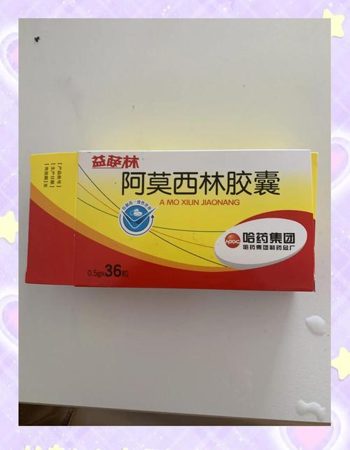 狗感冒了吃什么药