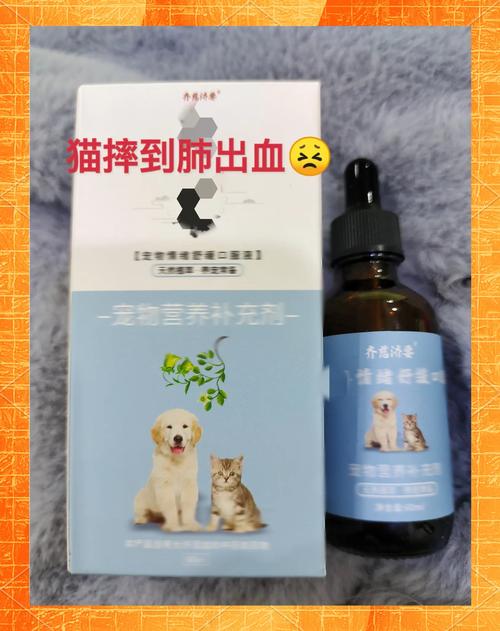 猫咪肺出血还有救吗