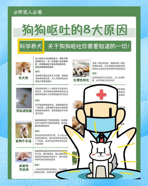 狗狗为什么吃完饭后呕吐