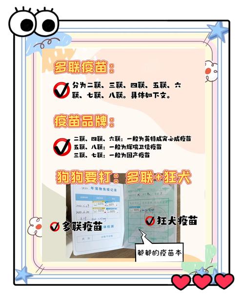 小狗八联疫苗是什么意思
