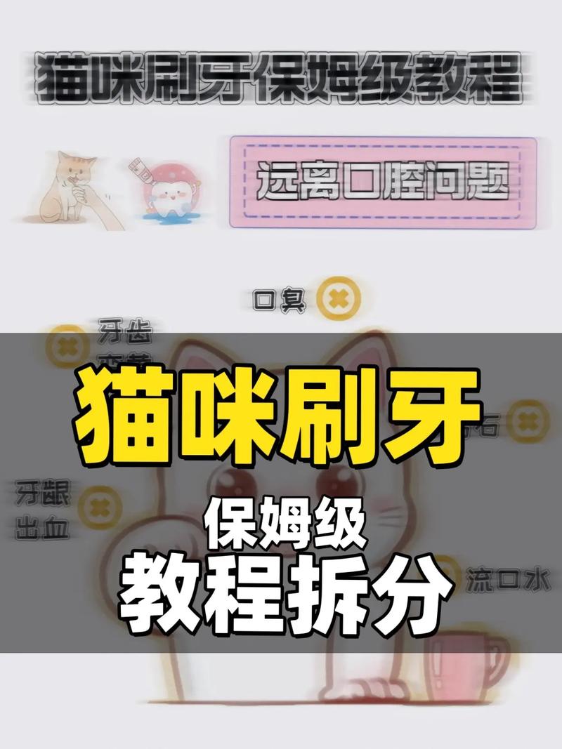 怎么让猫咪愿意刷牙?