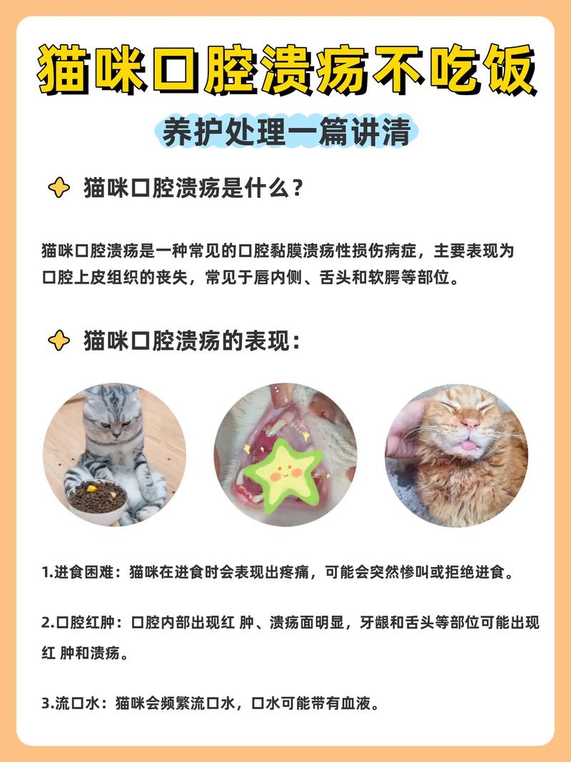 如何在家为宠物猫猫做口腔护理