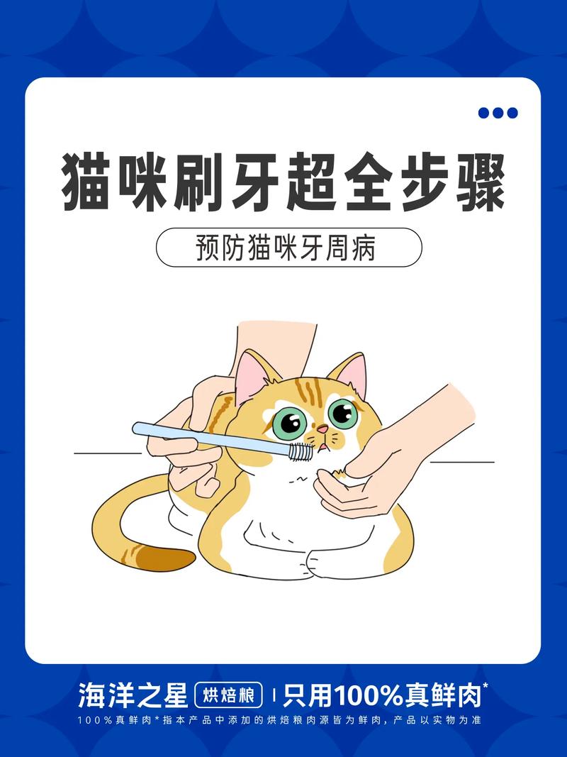 怎么给猫刷牙