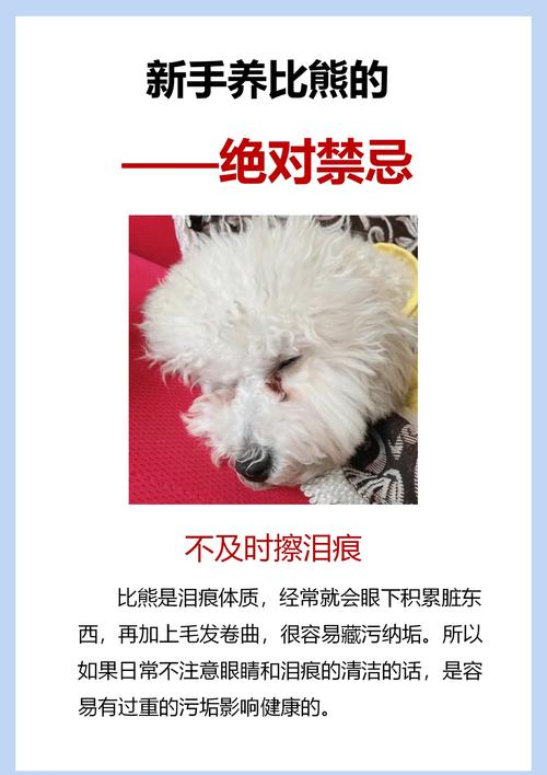 狗狗老是乱咬东西怎么办啊