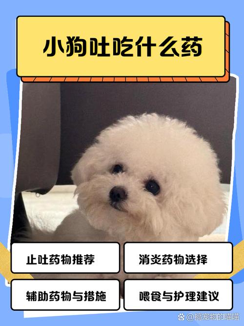 狗狗最近老是吐是怎么回事吃什么药