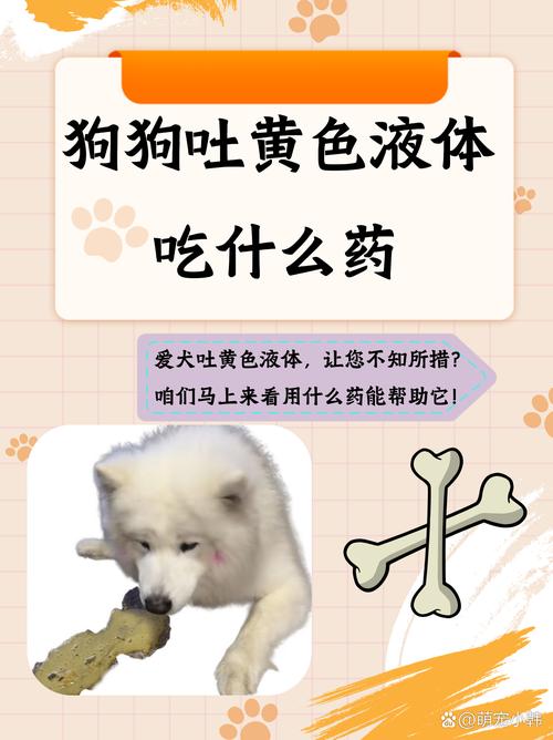 狗狗这两天老是吐怎么回事