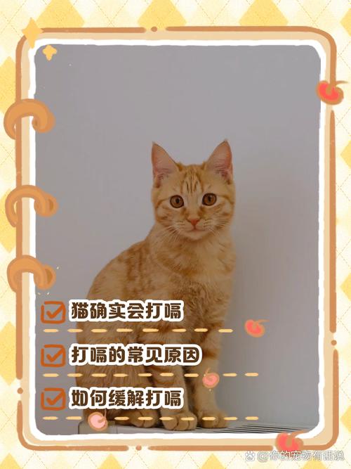 猫吃完粮打嗝是正常的吗?