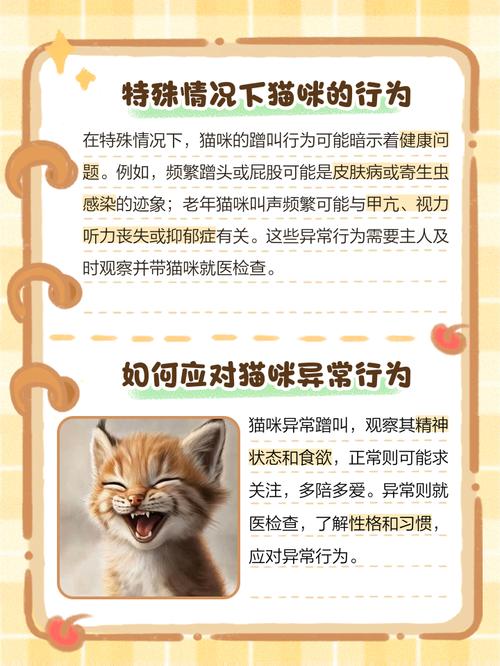 主人碰猫咪为什么呜呜叫