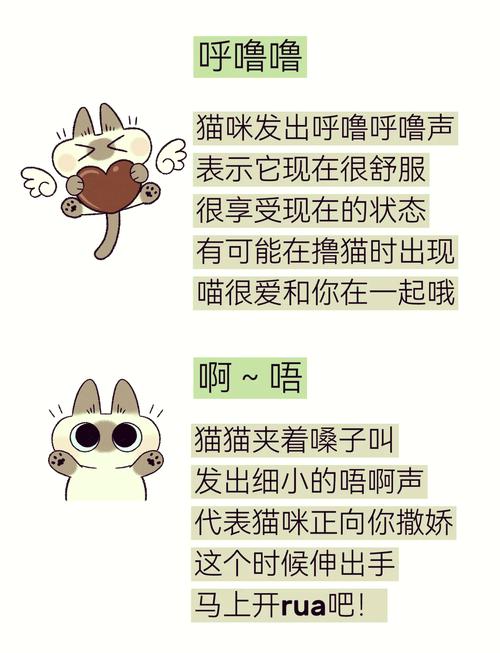 猫被打后发出低沉的呜呜声