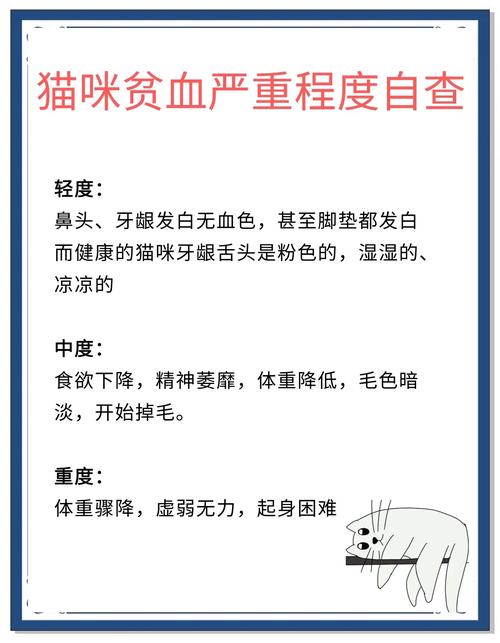 猫猫(贫血)体弱多病没胃口,猫咪(贫)血身体胃口都差怎么办?
