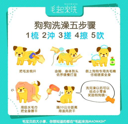秘诀:怎么给狗洗澡最干净