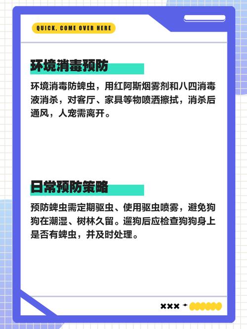 狗狗身上的跳蚤怎么彻底消灭