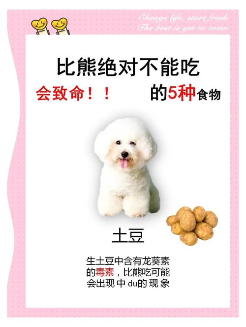 狗能不能吃绿豆粥