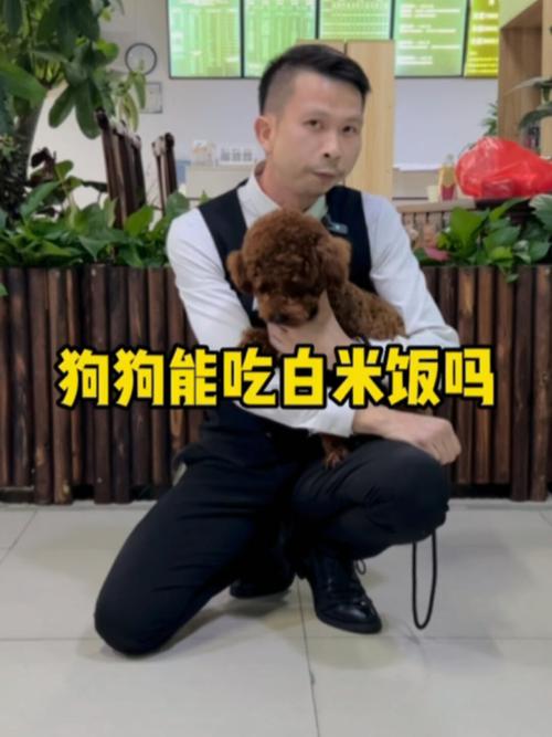 狗狗可以吃大米绿豆粥吗