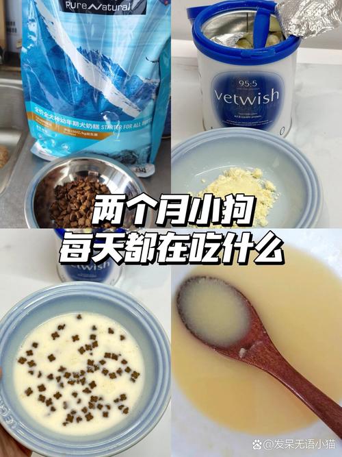 两个月小狗吃什么