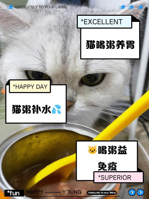 猫能不能吃粥