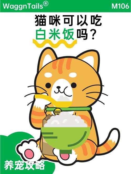 猫喝粥好还是吃饭好?