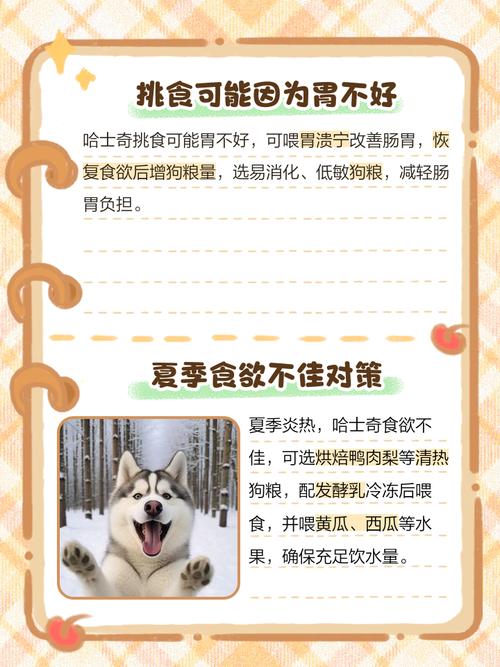 请问我家狗狗换了狗粮她就不吃了呢?