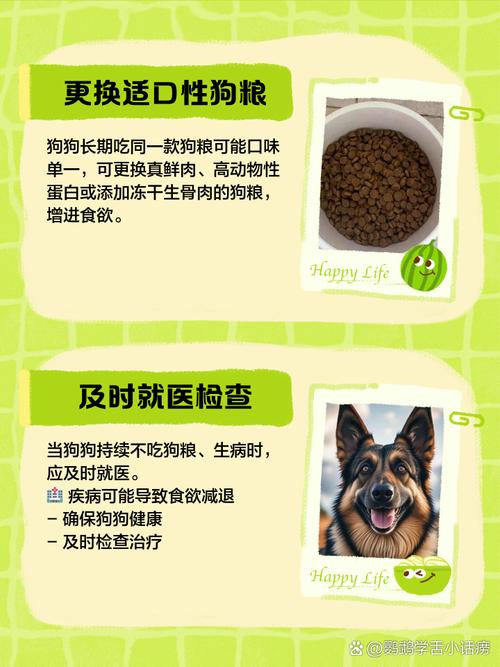 新狗粮狗狗不吃怎么办