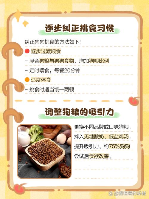 狗狗换狗粮不吃怎么办