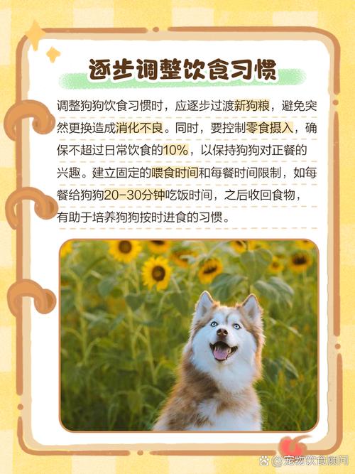 换了新狗粮,狗狗宁愿饿着也不吃怎么办?