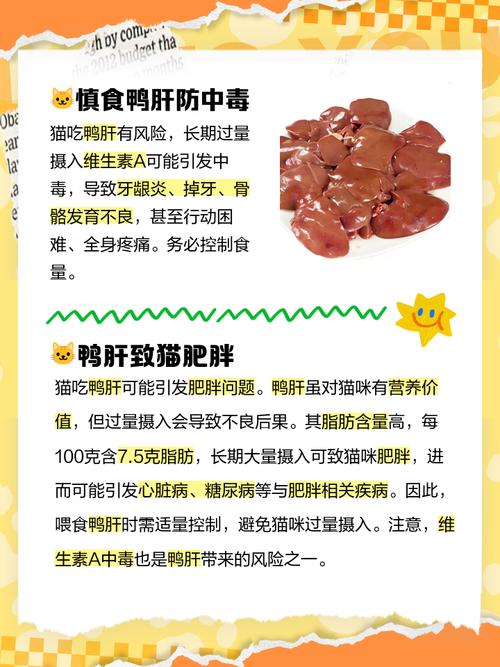 猫咪为什么要多吃鸭肝