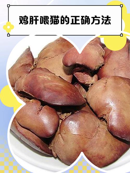 有哪些动物内脏适合喂猫?