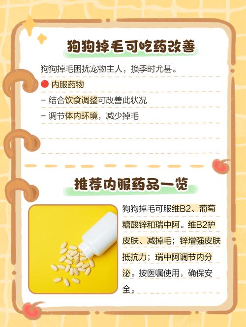 狗狗吃这些食物,可以缓解掉毛!