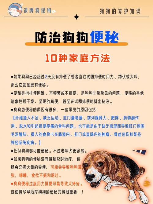狗狗便秘拉不出来怎么办