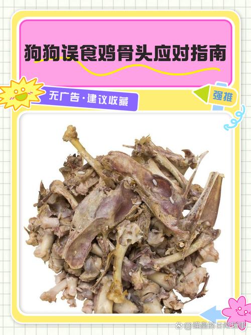 狗狗吃鸡骨头不消化怎么办