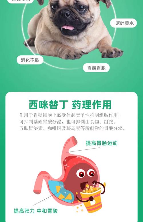 狗狗吃了吐不消化吃什么药好?
