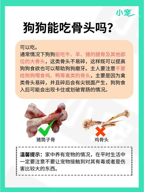 小狗吃了不消化的东西,解不了大便,应该怎么办?