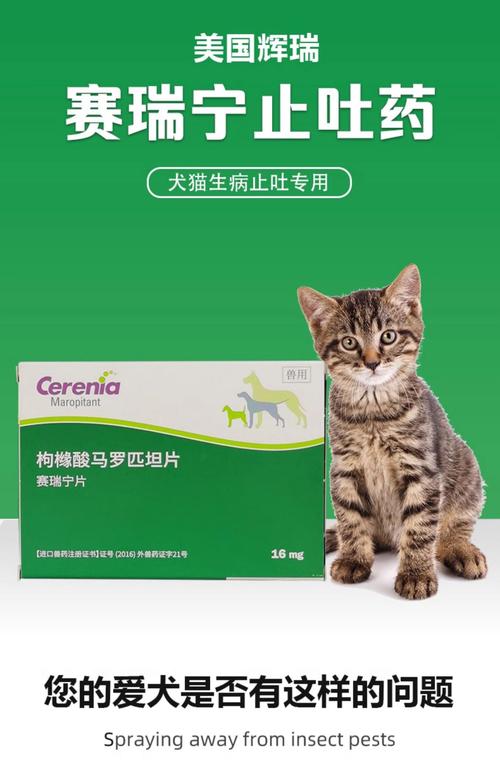 狗狗吃东西不消化怎么办