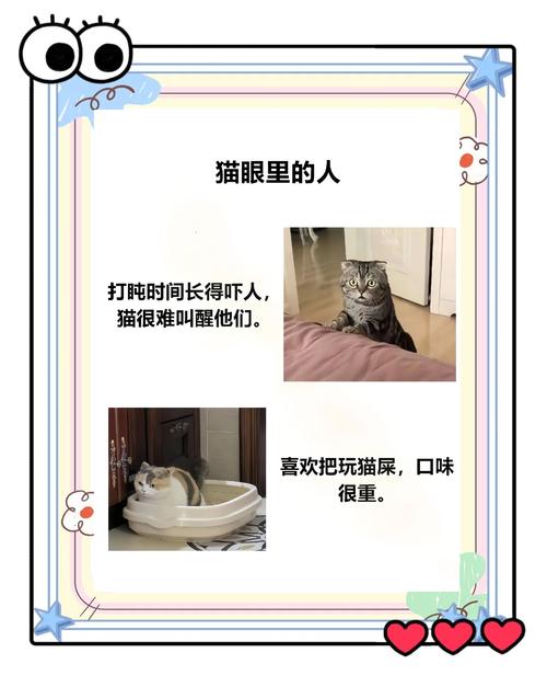 猫看到的世界是什么颜色的