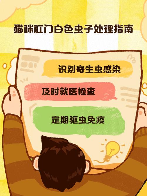 猫咪肛门里有白色的虫怎么办?