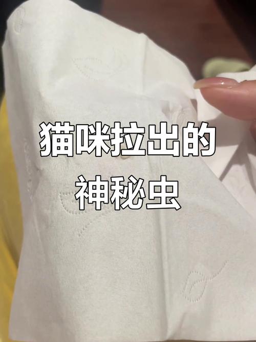 猫屁股有白色的虫子是什么虫