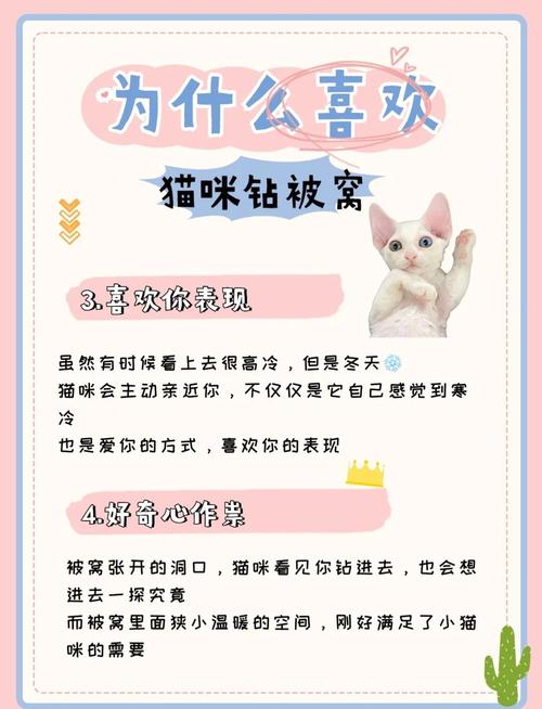 猫猫为什么很喜欢钻被窝呢?