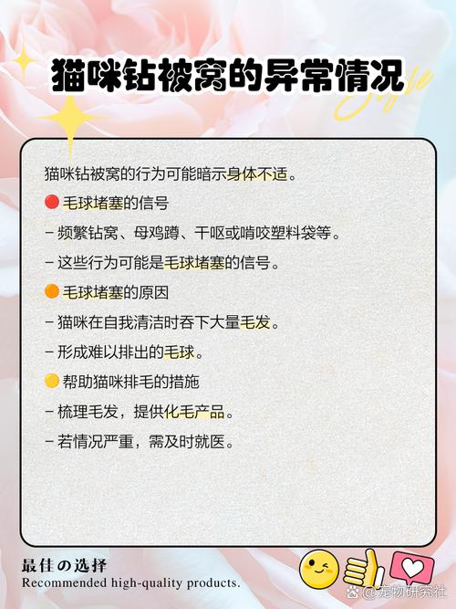 宠物猫喜欢钻被窝的原因有哪些?
